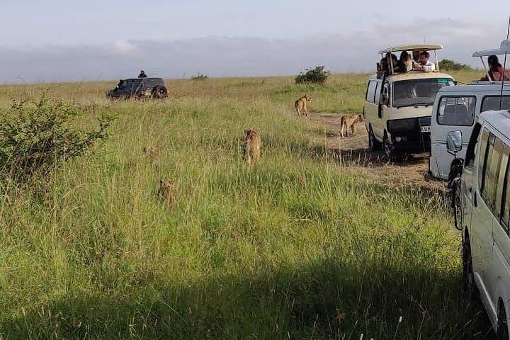 Hell's Gate NP Day Tour with Cycling and Lake Naivasha Boat Ride
