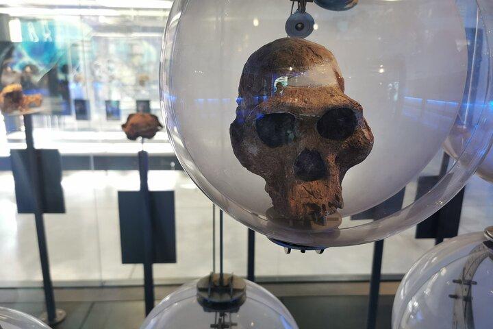 Private Tour.Cradle Humankind.Sterkfontein Caves and Maropeng