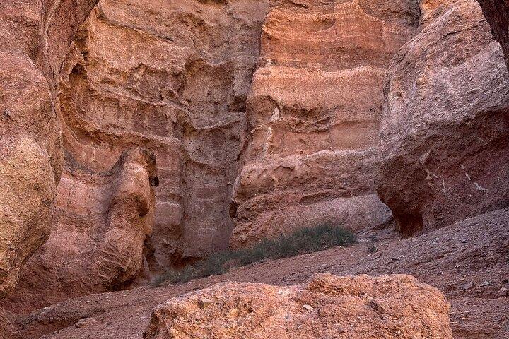 Express Tour: Kolsai, Kaindy Lake Charyn , Black Canyon in 1 day
