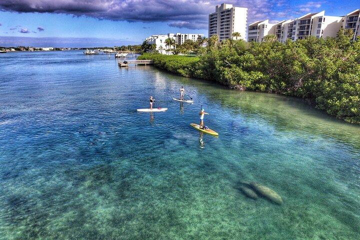 Private Jupiter Island Guided Paddle Boarding Tour