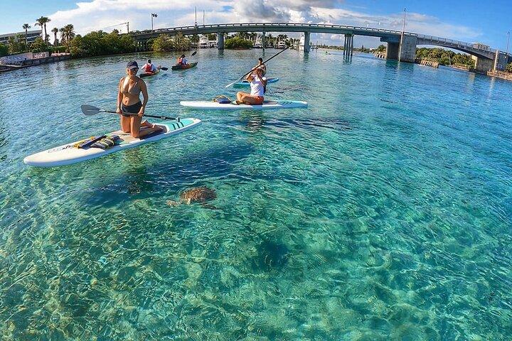Private Jupiter Island Guided Paddle Boarding Tour