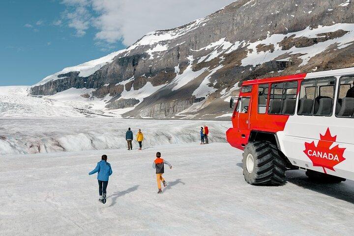 Columbia Icefield,Peyto Lake,Bow Lake Day Trip from Banff/Calgary