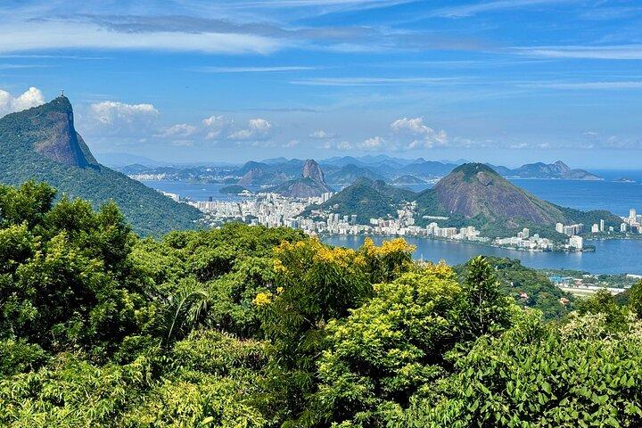 Swim Under Tijuca Waterfalls — Hike, Caves, Wildlife & Rio Views