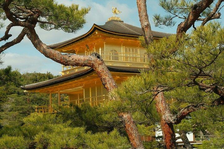 Kyoto Private Hightlights Customizable Tour&English Driver Guide