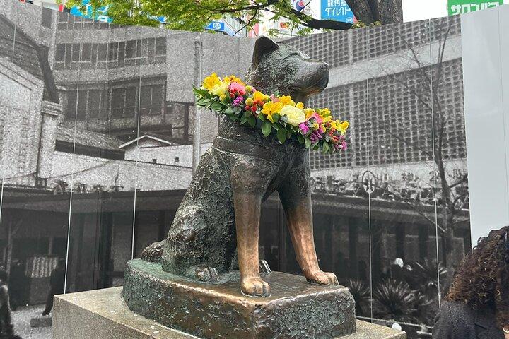 3-Hr Tokyo Bike Tour: Shibuya Highlights, Backstreets/Hidden Gems