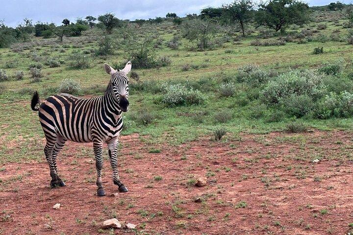 Private Full Day Tour to Amboseli from Nairobi