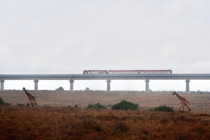 Private Half Day Tour at Nairobi National Park