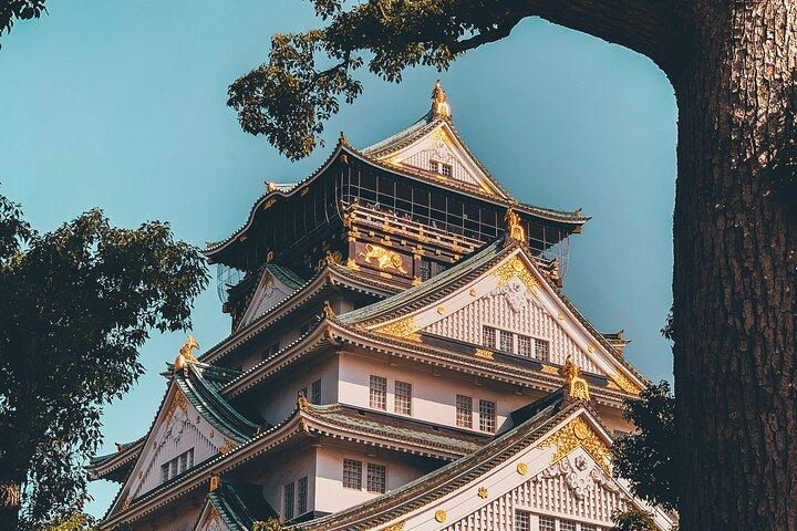Osaka Private Highlights tour with Guide and Luxury Vehicle