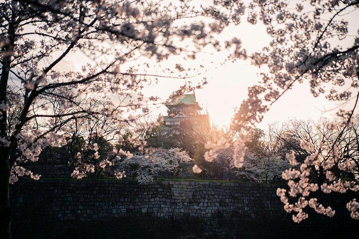 Osaka Private Highlights tour with Guide and Luxury Vehicle
