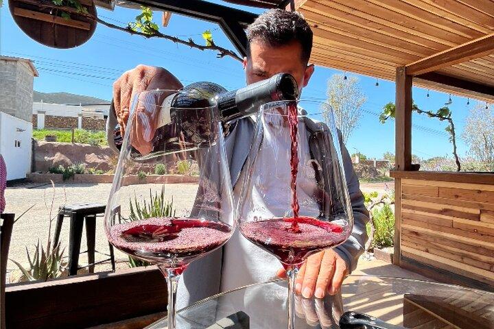 "Bike 2 wine", Exploring vineyards on a bike