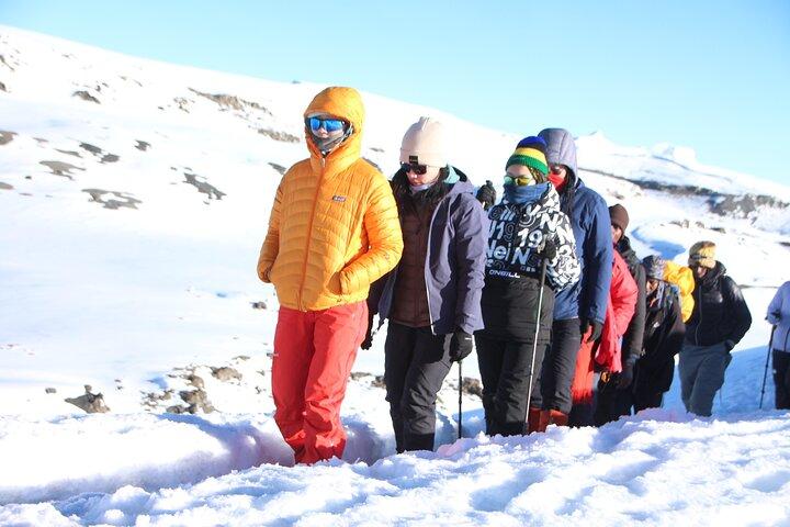 6 Days Machame Route Kilimanjaro Group Hiking and Climbing Tour