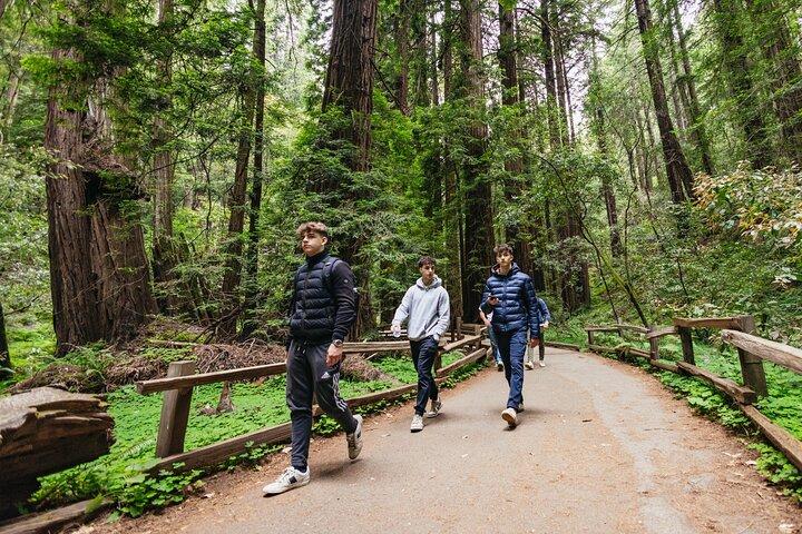 Muir Woods and Sausalito Tour (Return by Bus or Ferry)