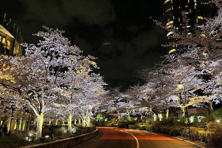 2-Hr Tokyo Night Bike Tour: Shibuya, City Lights & Tokyo Tower