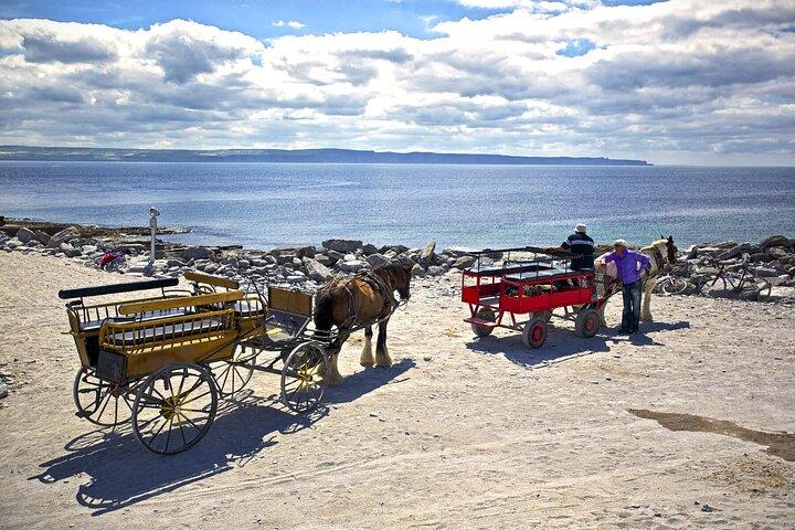 Connemara, Aran Islands Cliffs of Moher & Burren tour from Galway