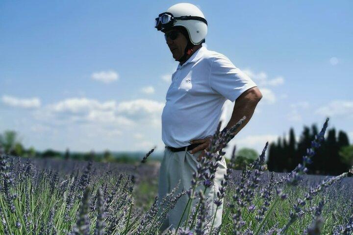From Aix-en-Provence : Lavender & Wine Sidecar Tour