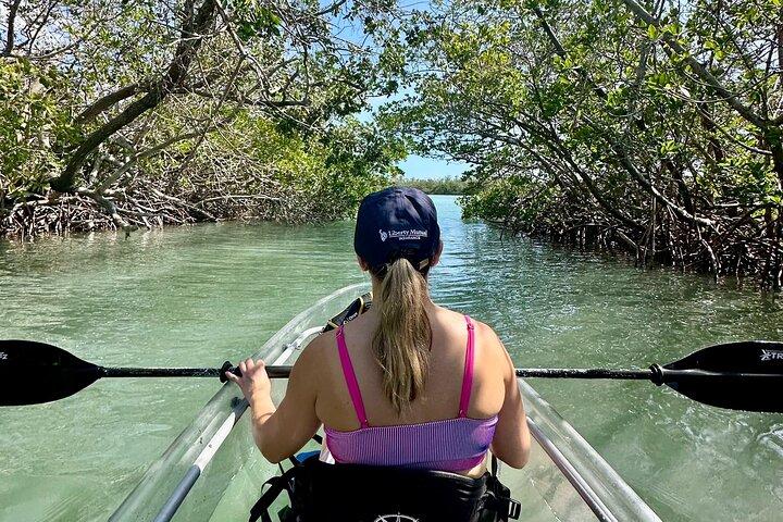 Sarasota Clear Kayak Tour