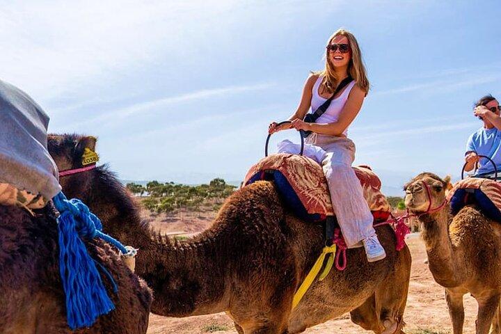 Marrakech: Agafay Desert - Camel Ride and Dinner Show