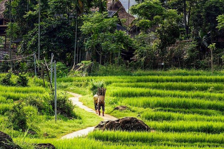 Vietnam Private Tour Explore Ethnic Culture and Nature in 15 Days