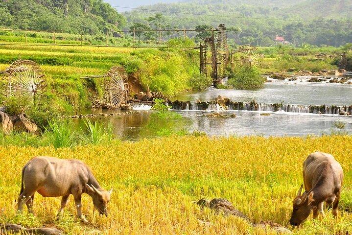 Vietnam Private Tour Explore Ethnic Culture and Nature in 15 Days