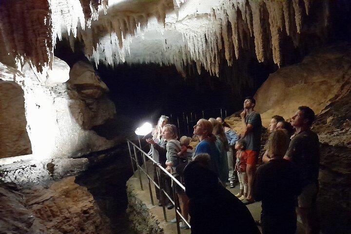 Milky Way Glowworm Cave Tour