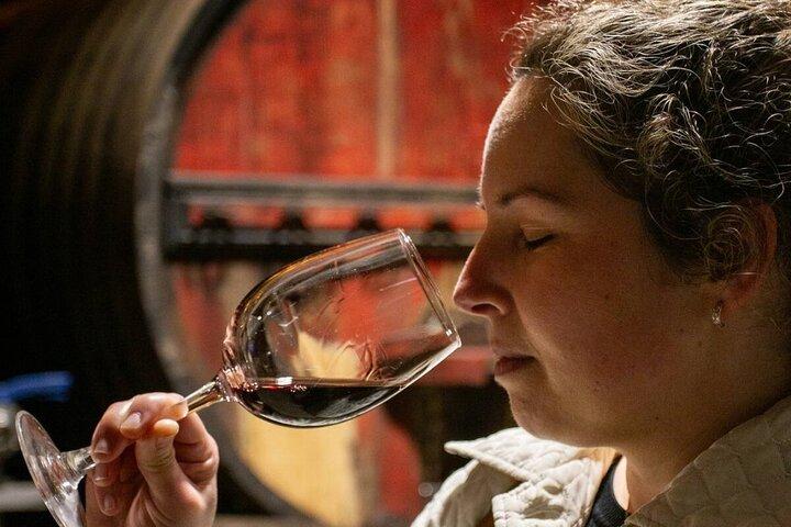 Douro Valley Small Group Premium Wine Tour Lunch and Private Boat