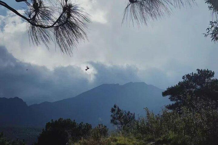 Cangshan Mountain hike and organic homemade dinner