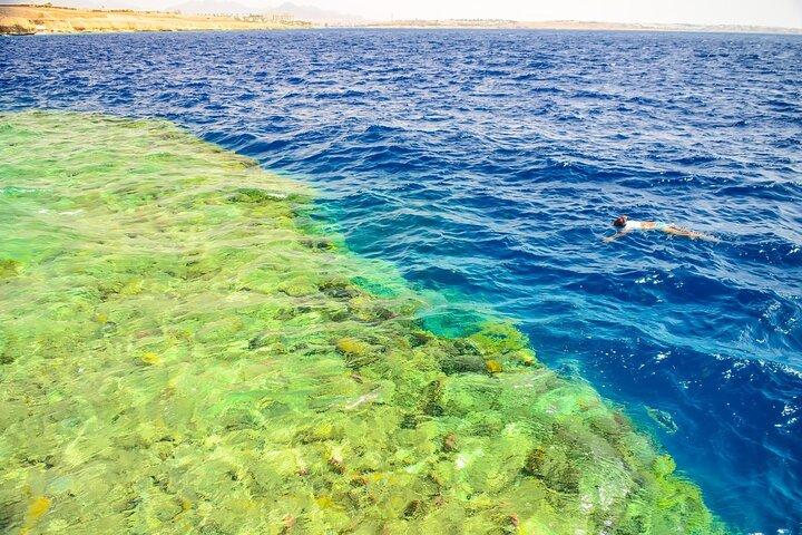 Ras Mohamed Snorkeling Tour by Bus – Sharm El Sheikh Trip