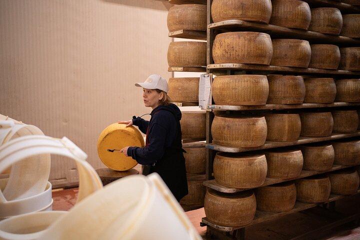 Bologna Food Valley Small-Group: Factory Tasting, Winery & Lunch