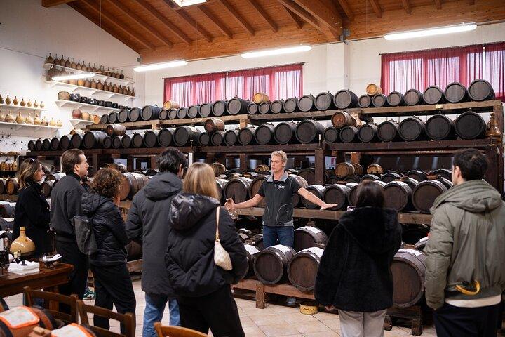 Bologna Food Valley Small-Group: Factory Tasting, Winery & Lunch