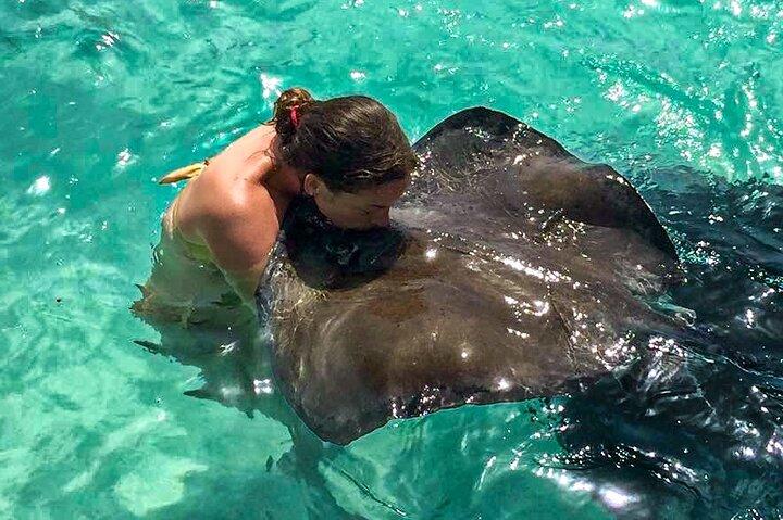 Best of Antigua: Stingrays, Devils Bridge & Long Bay Beach