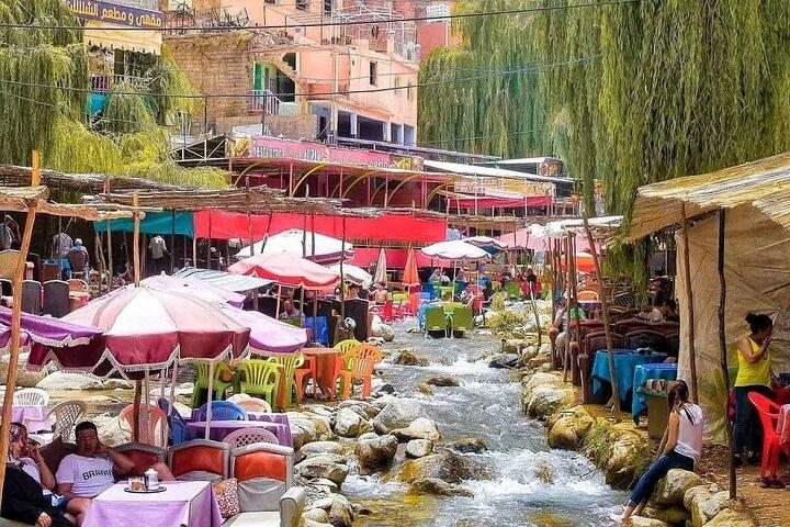 Marrakech: Ourika Valley & Waterfalls Guided Day Trip