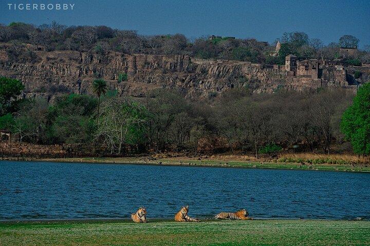 Ranthambore National Park