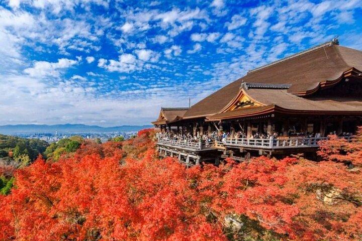 Kyoto & Uji Day Tour: Golden Pavilion, Kiyomizu & Matcha Street