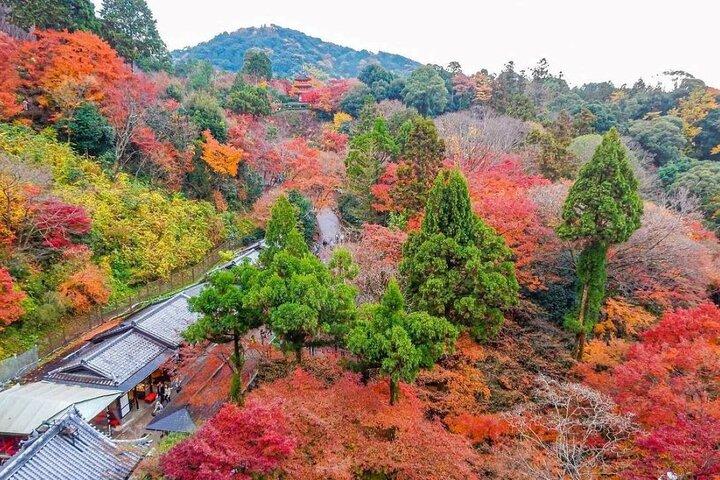 Kyoto & Uji Day Tour: Golden Pavilion, Kiyomizu & Matcha Street