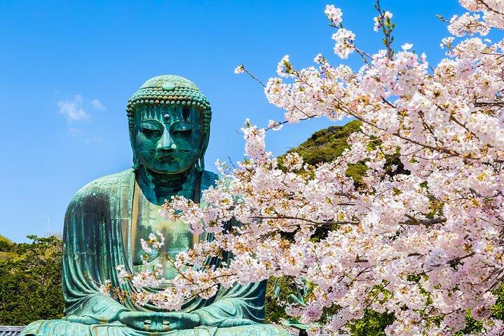 From Tokyo: Kamakura, Enoshima and Yokohama night view tour