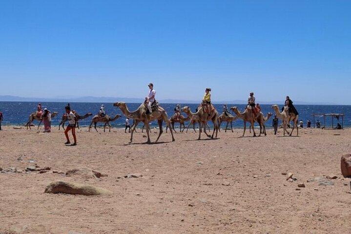 Blue Hole in Dahab By Bus with Lunch and Camel Ride - Sharm El-Sheikh