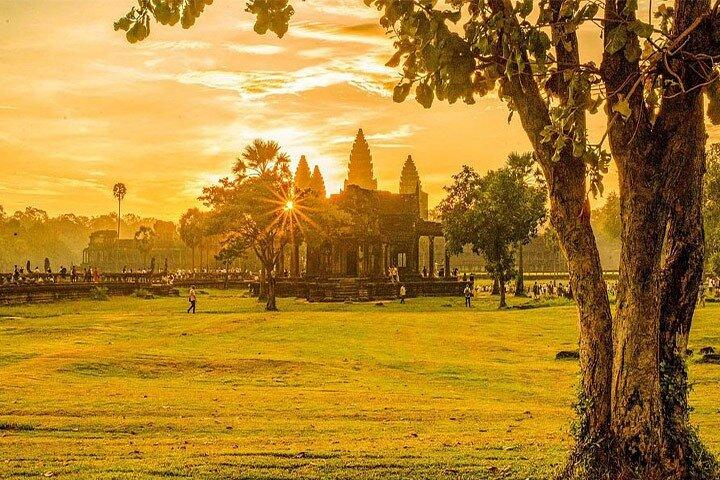 Private Tour for All Highlight Angkor Temples and Banteay Srei