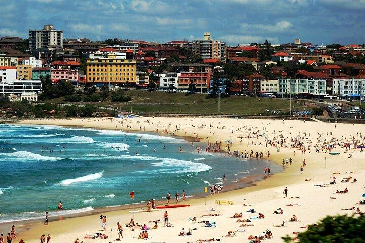 Blue Mountains | Koalas, Kangaroos & Bondi Beach Private Tour