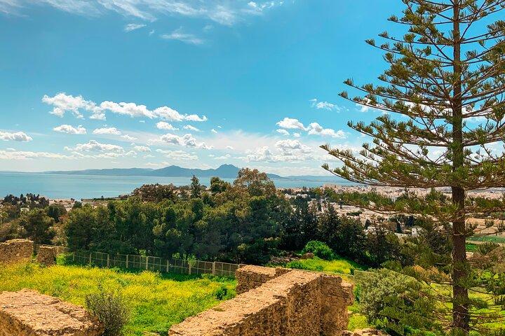 Tunisia Tour: Carthage, Sidi Bou Said, and Bardo Museum