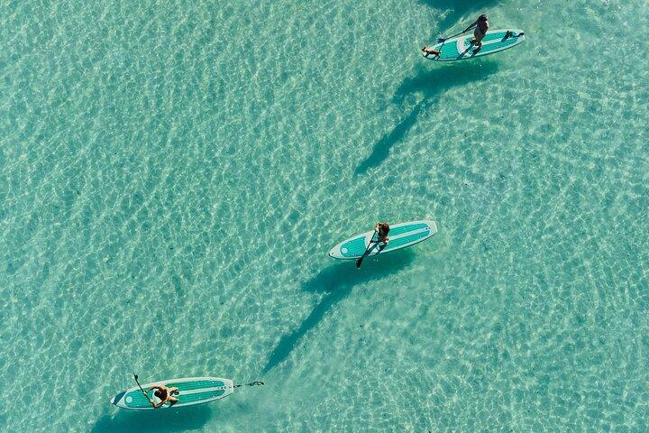 Bacalar Sunrise Stand Up Paddleboard Tour with Breakfast & Photos