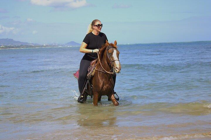 Puerto Plata: Horseback Riding& Small Groups & Beach & Swim Horse