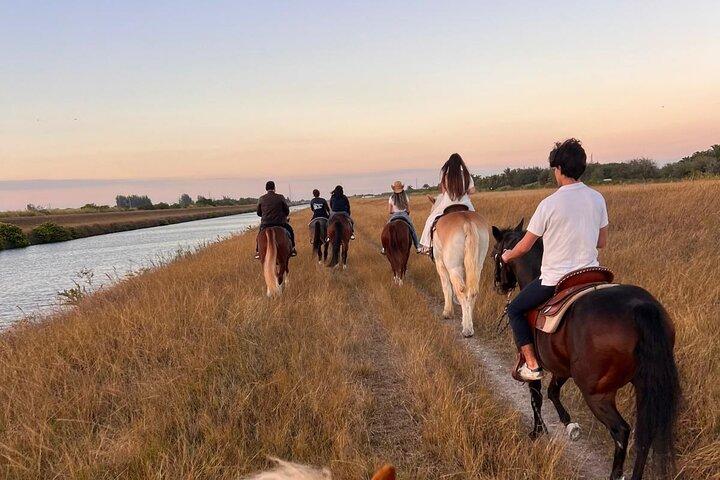 Horseback Riding in Miami