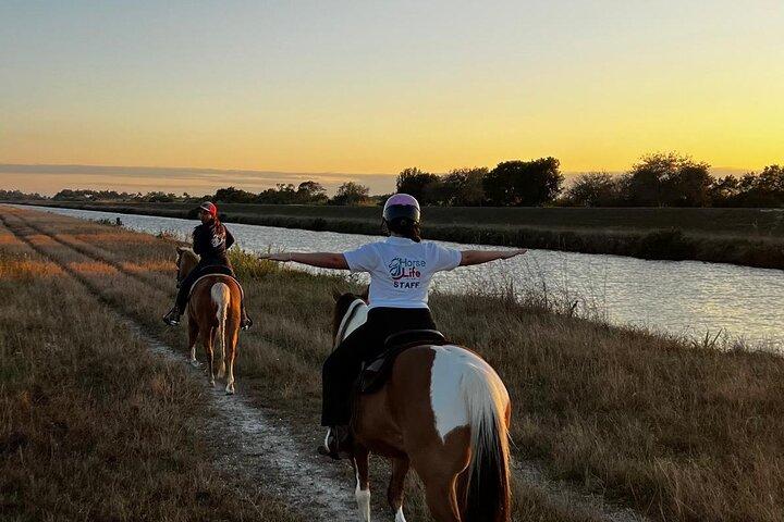 Horseback Riding in Miami