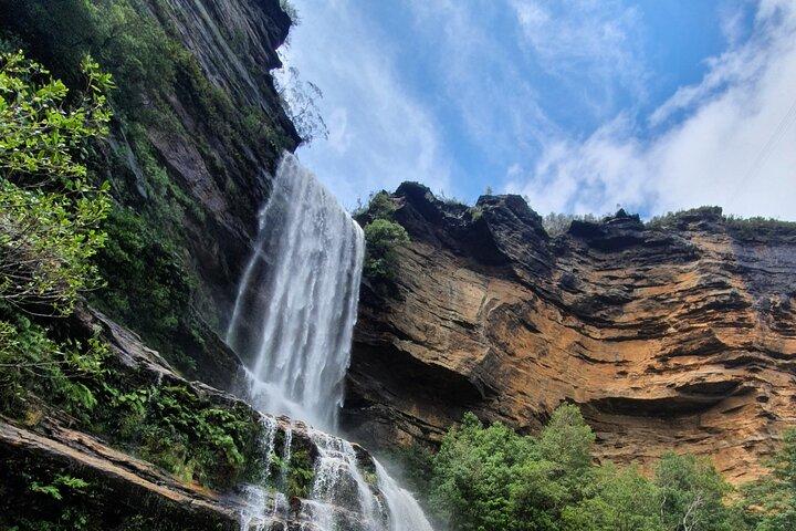 Unforgettable Blue Mountains Day Tour