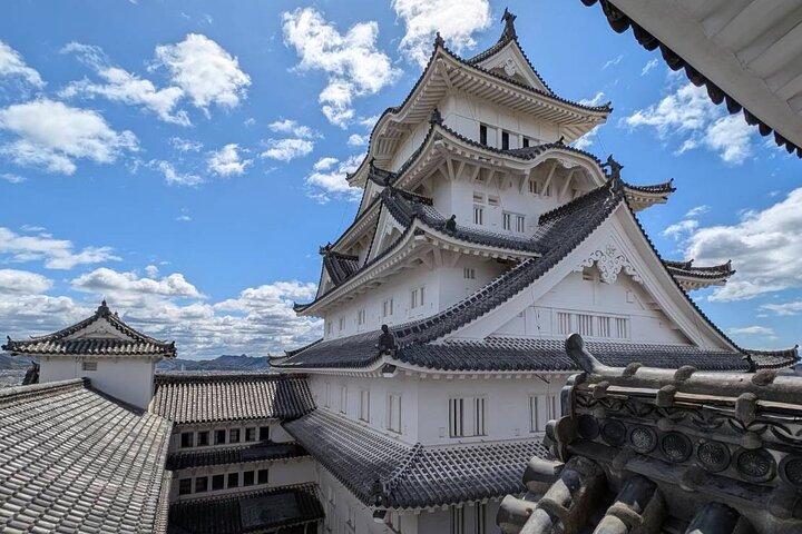 Kobe-Himeji Customize Tour with Pickup and Drop Off