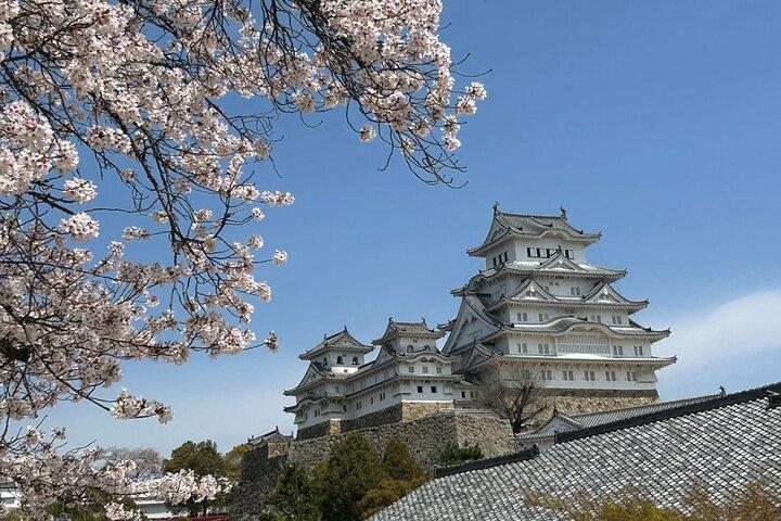 Kobe-Himeji Customize Tour with Pickup and Drop Off