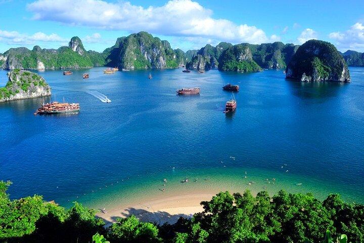Premium Cruise Full Day Exploring Authentic Lan Ha Bay