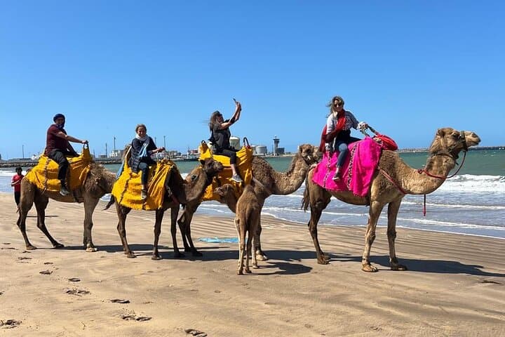 Private Casablanca Day Tour with Camel Ride in Mohammedia