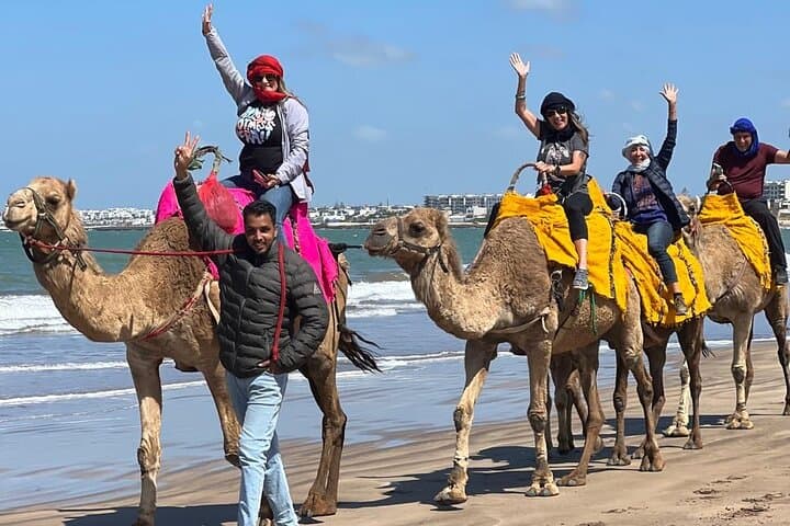 Private Casablanca Day Tour with Camel Ride in Mohammedia