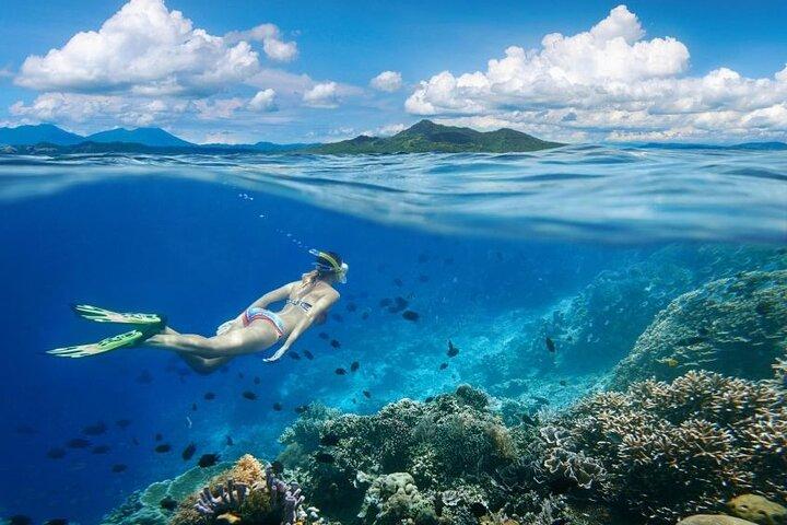 Gili Trawangan : Private Snorkeling with 3 spots or 4 spots
